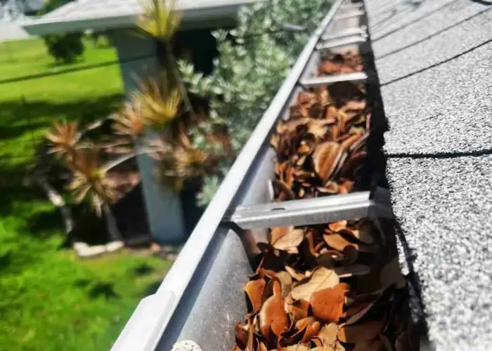 Gutter Cleaning Hammond home page